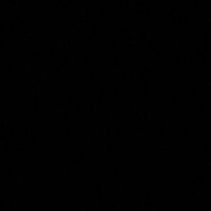 Meet your Posher, Perrie